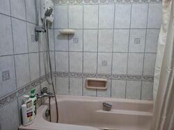 Hillview Park (D23), Condominium #585515541
